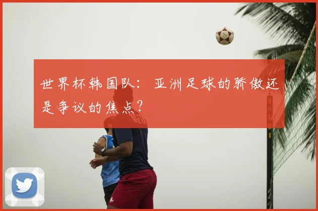 世界杯韩国队：亚洲足球的骄傲还是争议的焦点？