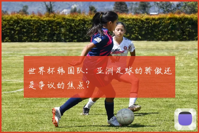 世界杯韩国队:亚洲足球的骄傲还是争议的焦点?