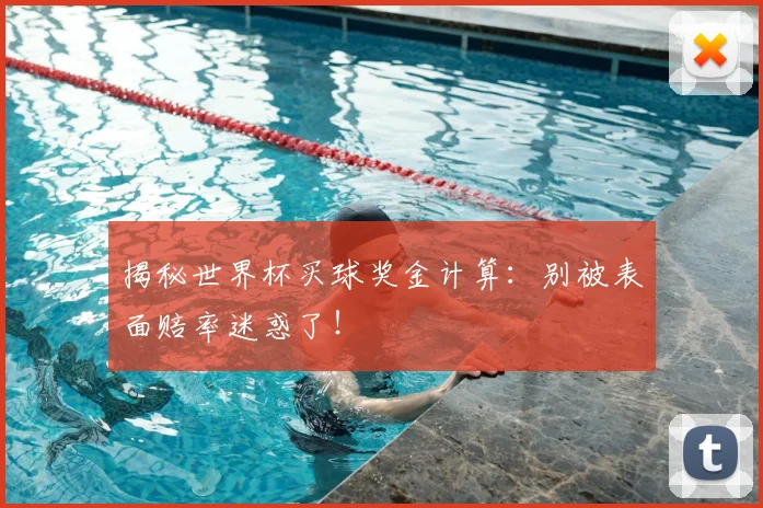 揭秘世界杯买球奖金计算：别被表面赔率迷惑了！