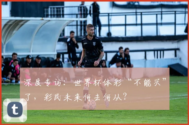 深度专访：世界杯体彩“不能买”了，彩民未来何去何从？