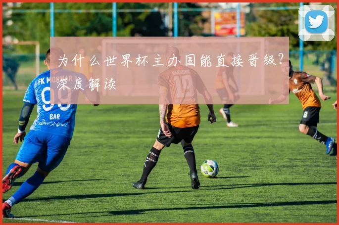为什么世界杯主办国能直接晋级?深度解读